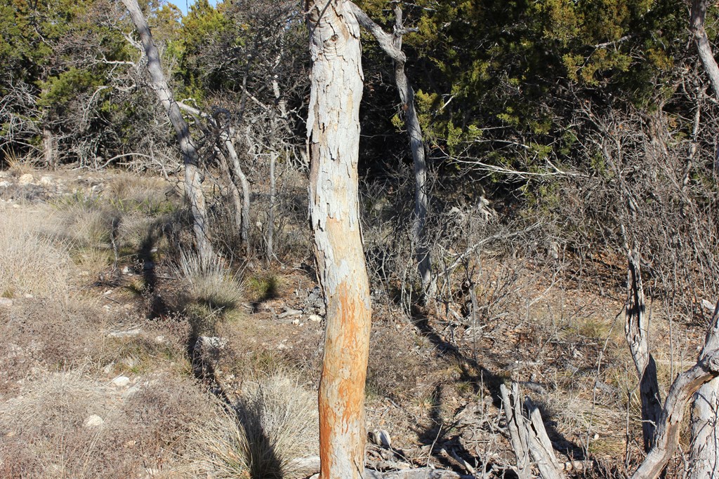 Pid 23205 Junction Hills Property Photo 13