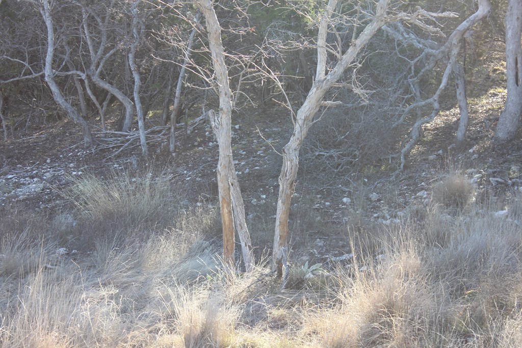 Pid 23205 Junction Hills Property Photo 14