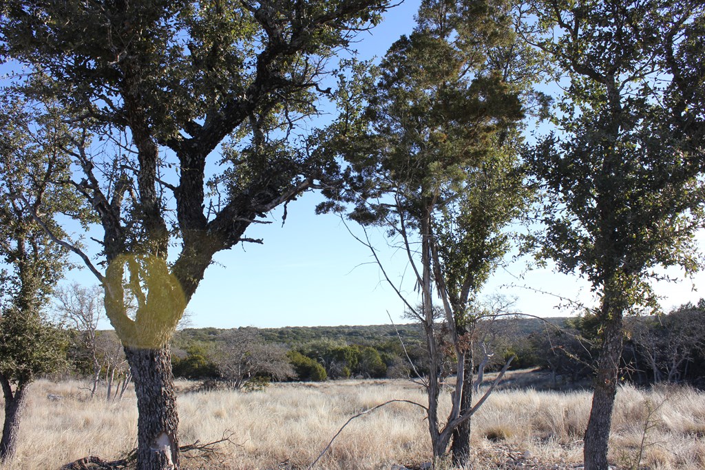 Pid 23205 Junction Hills Property Photo 17