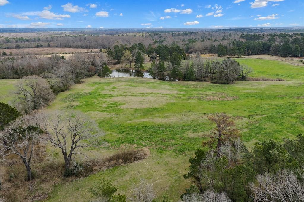600 Harmony Trail Property Photo 1
