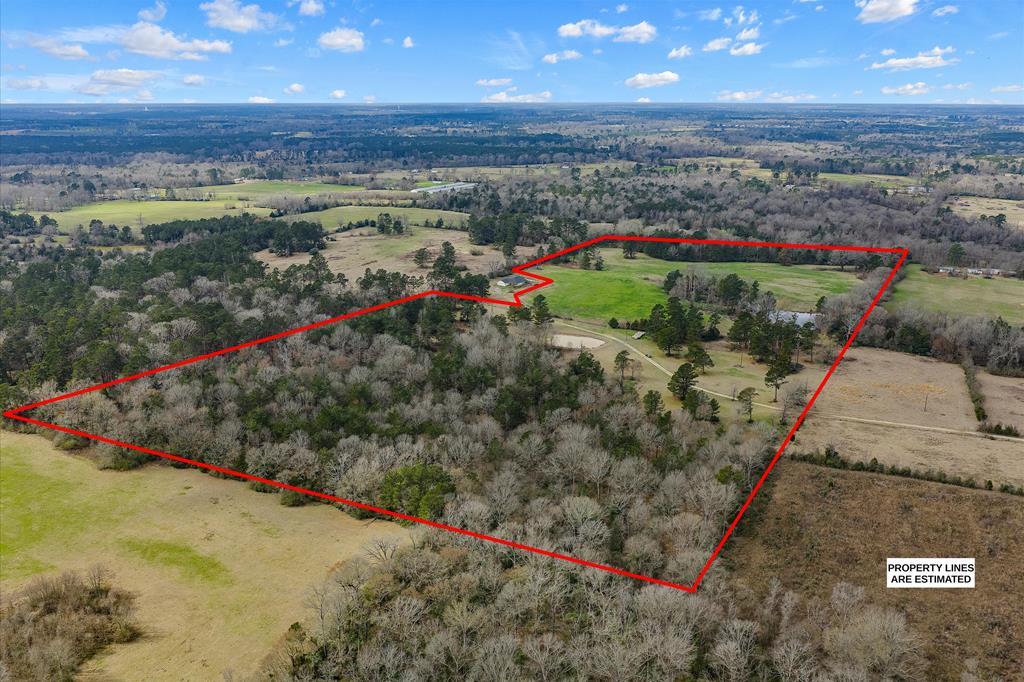 600 Harmony Trail Property Photo 2