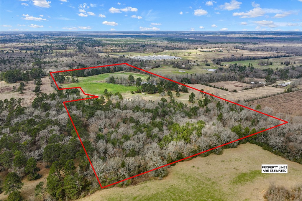 600 Harmony Trail Property Photo 4