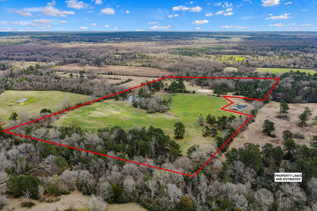 600 Harmony Trail Property Photo 5