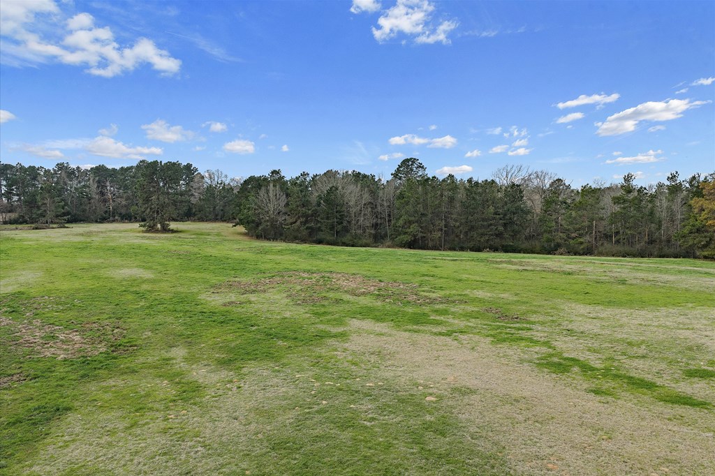 600 Harmony Trail Property Photo 6