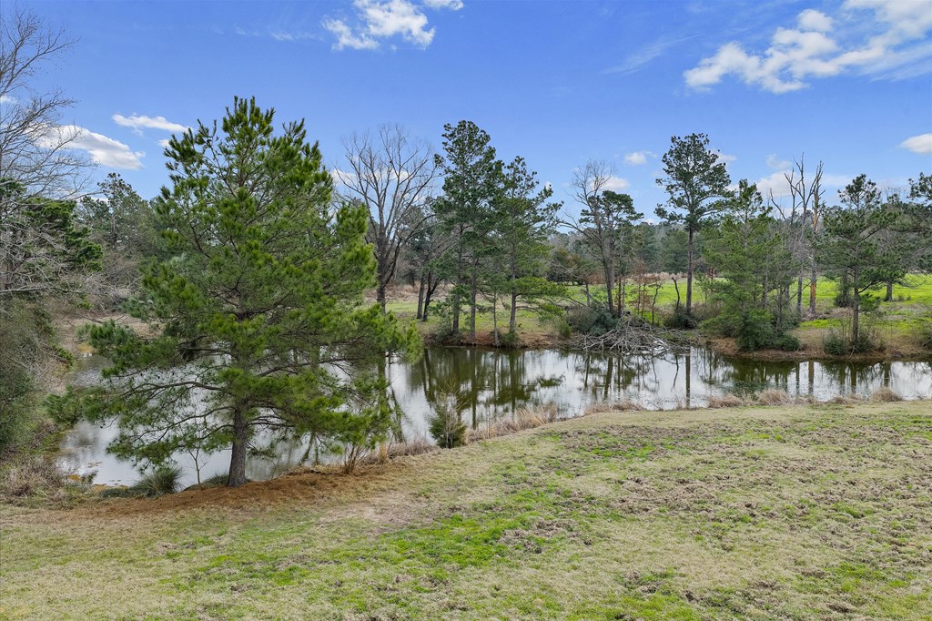 600 Harmony Trail Property Photo 7