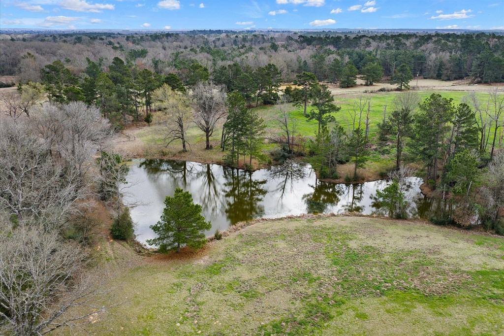 600 Harmony Trail Property Photo 8