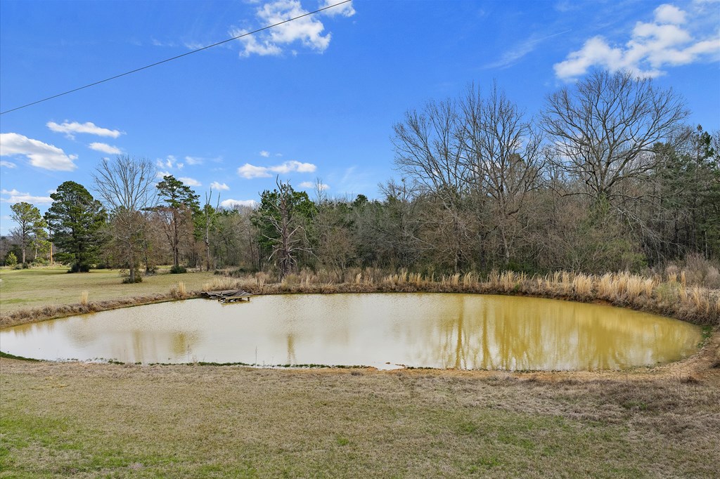 600 Harmony Trail Property Photo 10