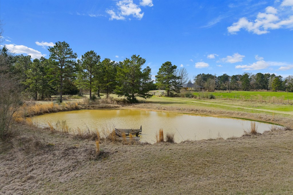 600 Harmony Trail Property Photo 11