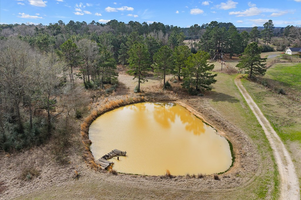 600 Harmony Trail Property Photo 12