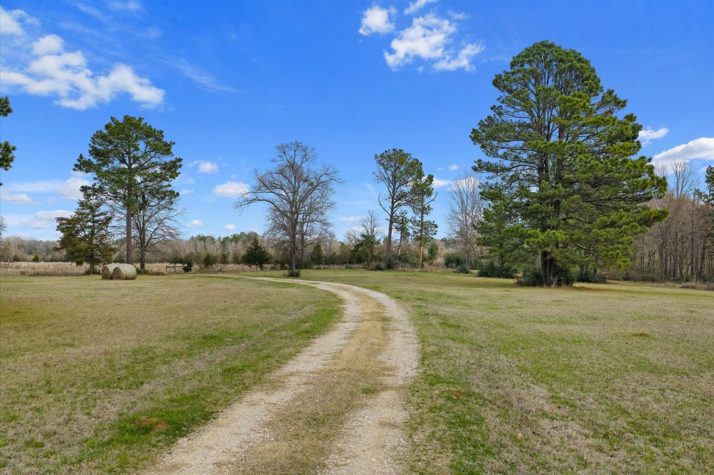 600 Harmony Trail Property Photo 13