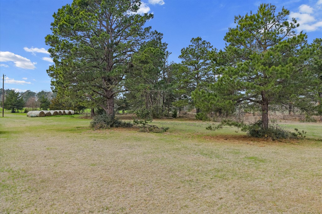 600 Harmony Trail Property Photo 14