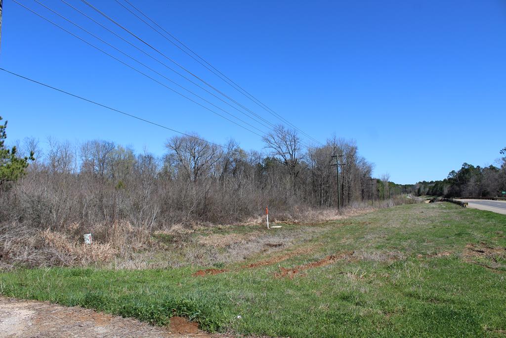 Parcel 17491 Hwy 21w Property Photo 1