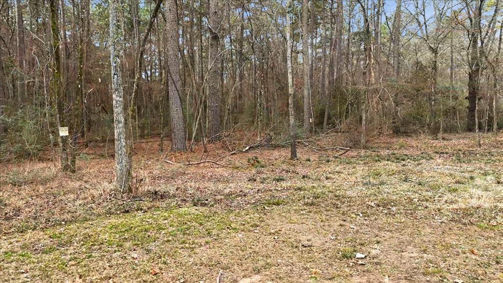12174 Cr 3153 S Property Photo 1