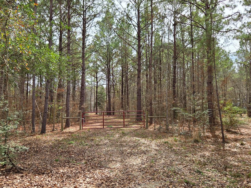 186 Blythe Road Property Photo 17