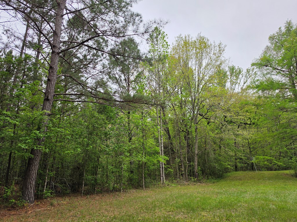 186 Blythe Road Property Photo 19