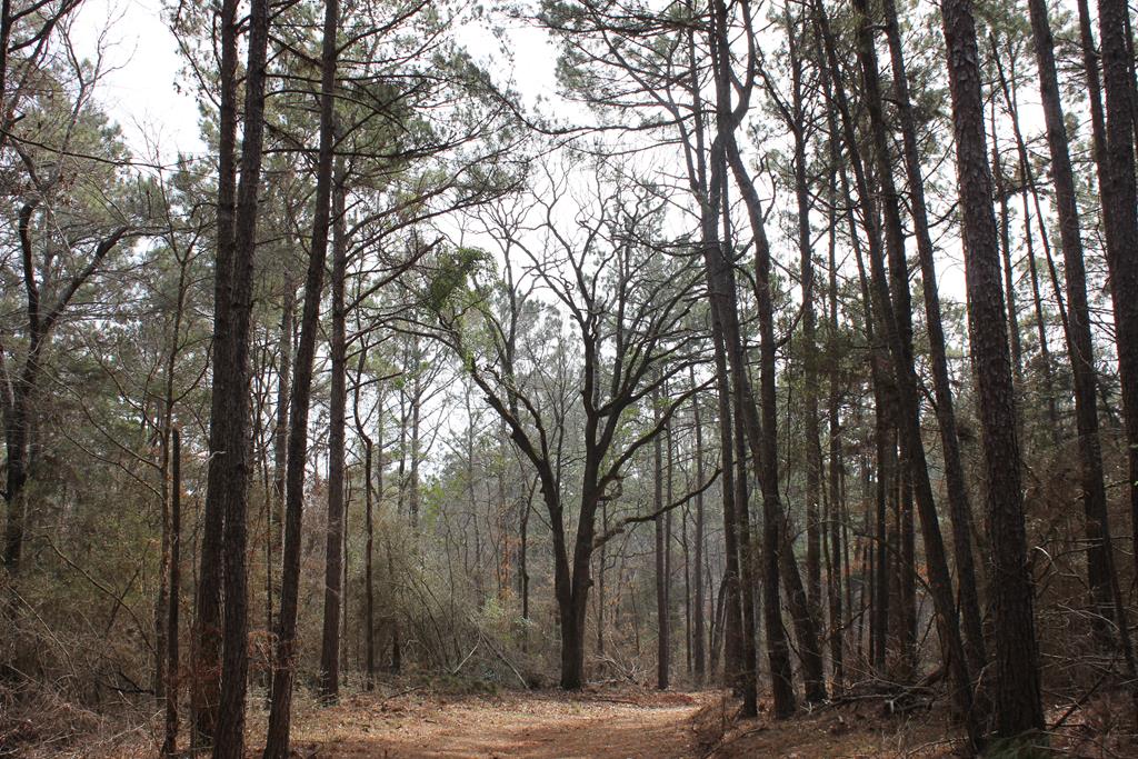 Pid 5880 Fm 225 Property Photo 1