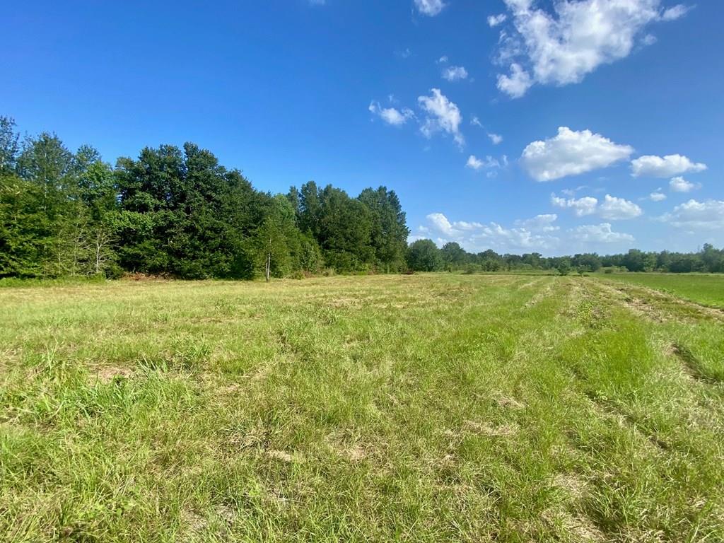 Lot #135 Jb Mcduff Drive