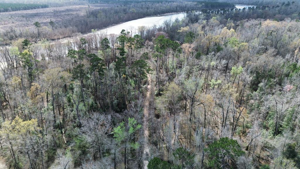 16.97ac - Tract Cr 4081 Property Photo 1