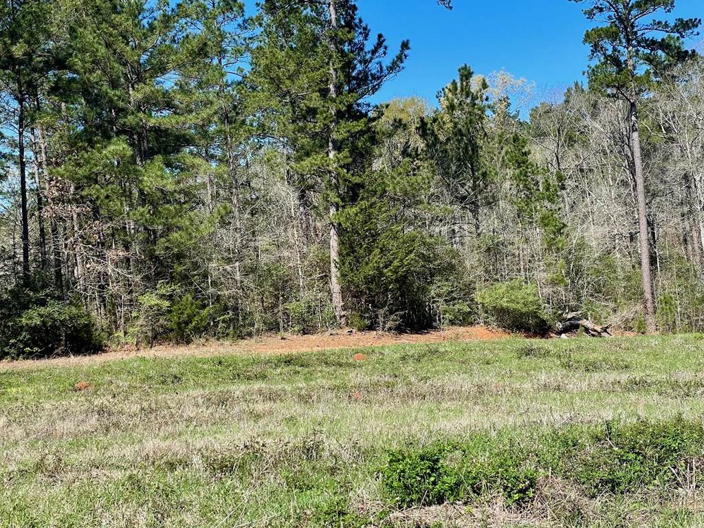 540 Cr 2830 Property Photo 3