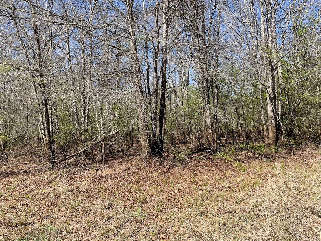 540 Cr 2830 Property Photo 5
