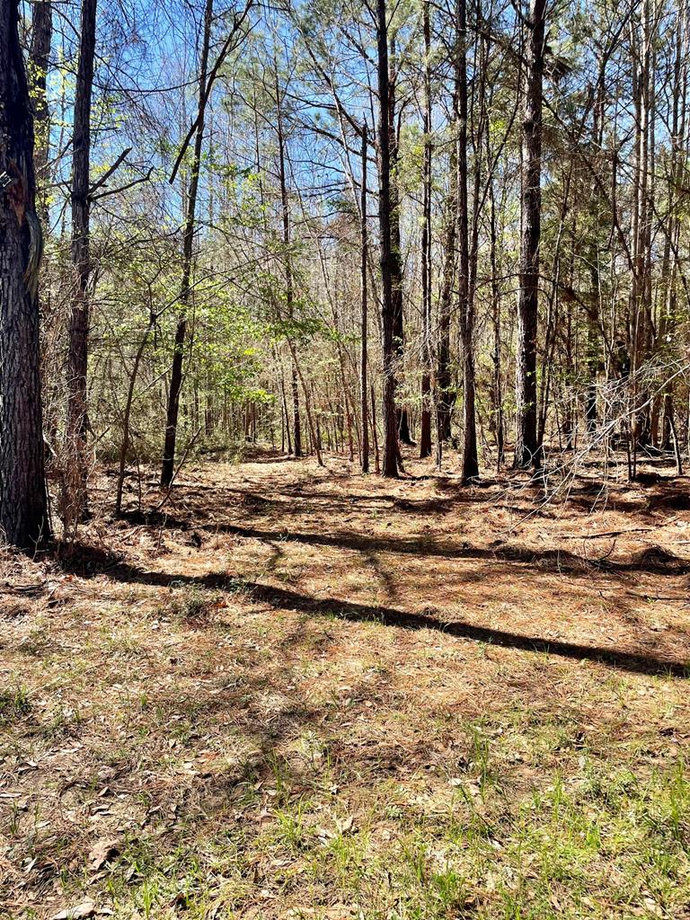 540 Cr 2830 Property Photo 15