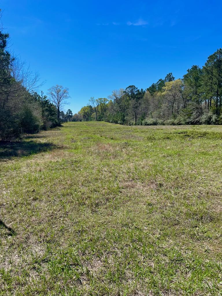 540 Cr 2830 Property Photo 16