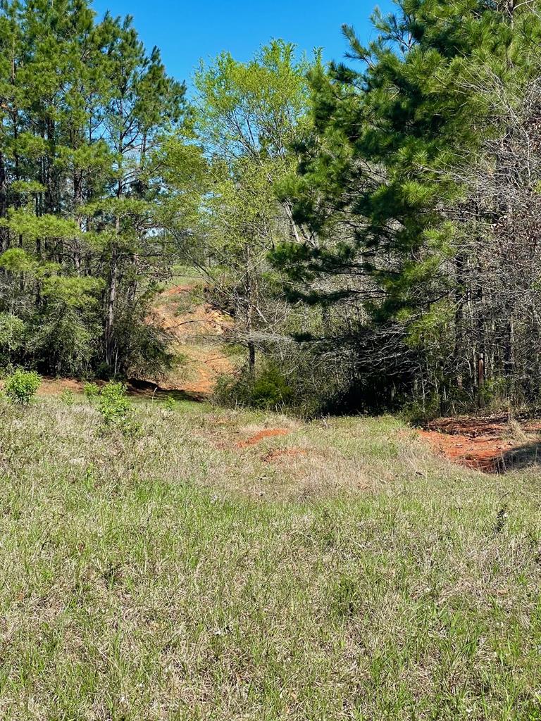 540 Cr 2830 Property Photo 17
