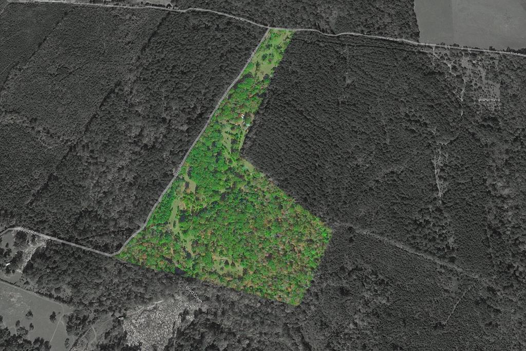 1039 Flat Road Property Photo 1