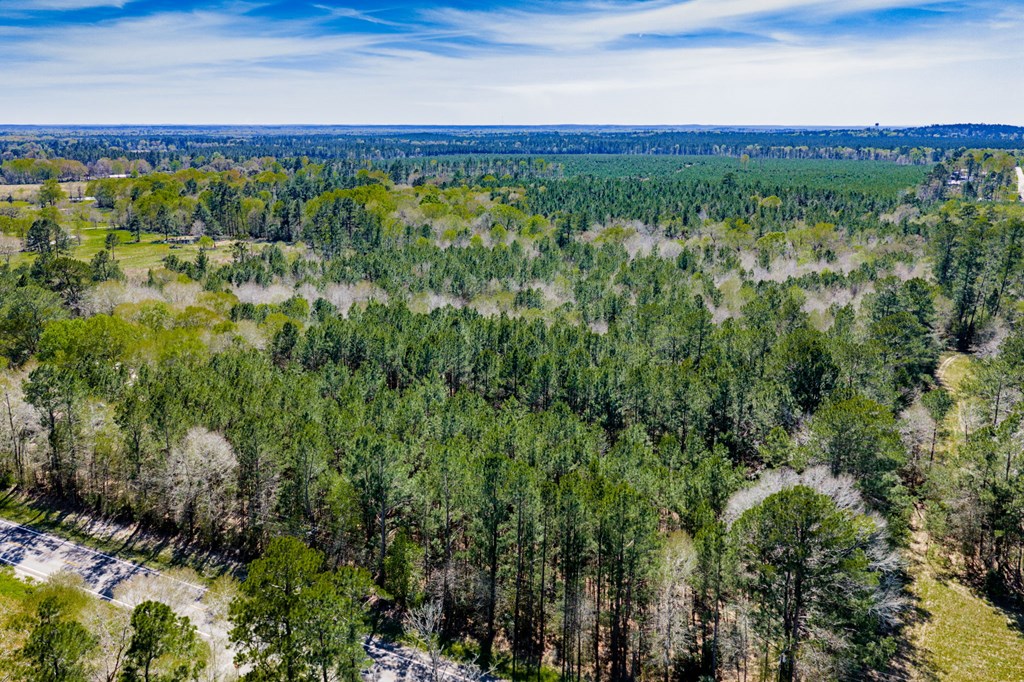 1888 Fm 1818 Property Photo 4