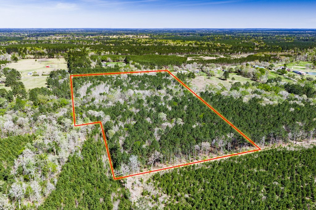 1888 Fm 1818 Property Photo 6