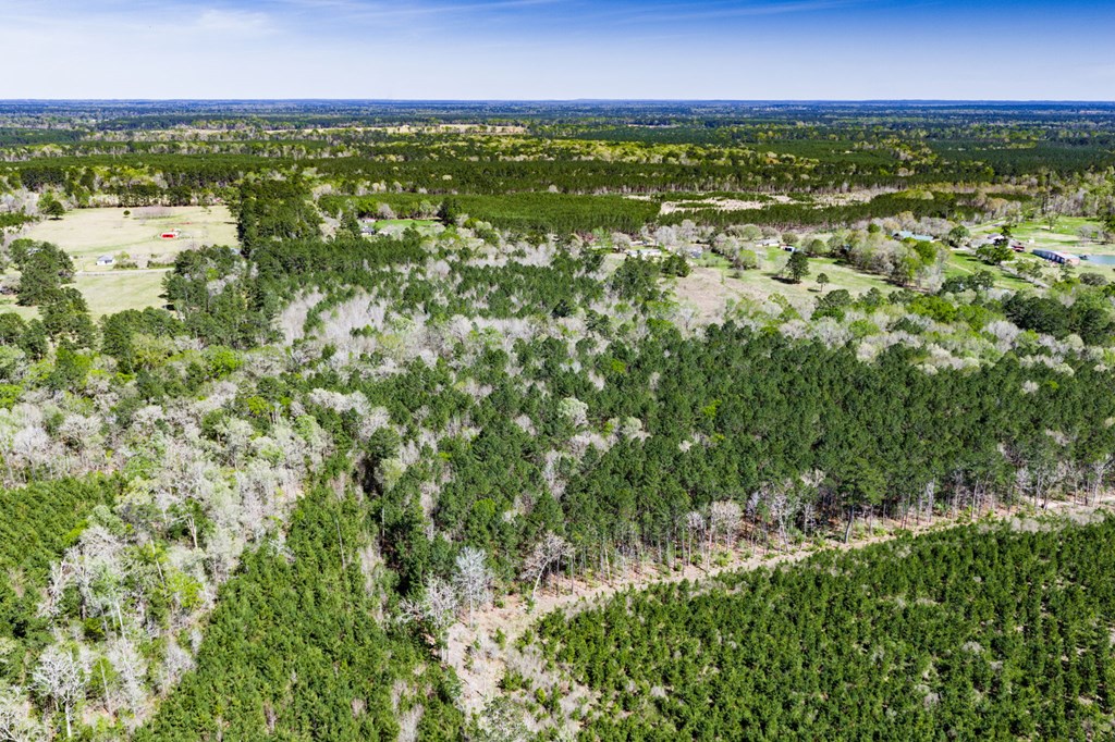 1888 Fm 1818 Property Photo 7