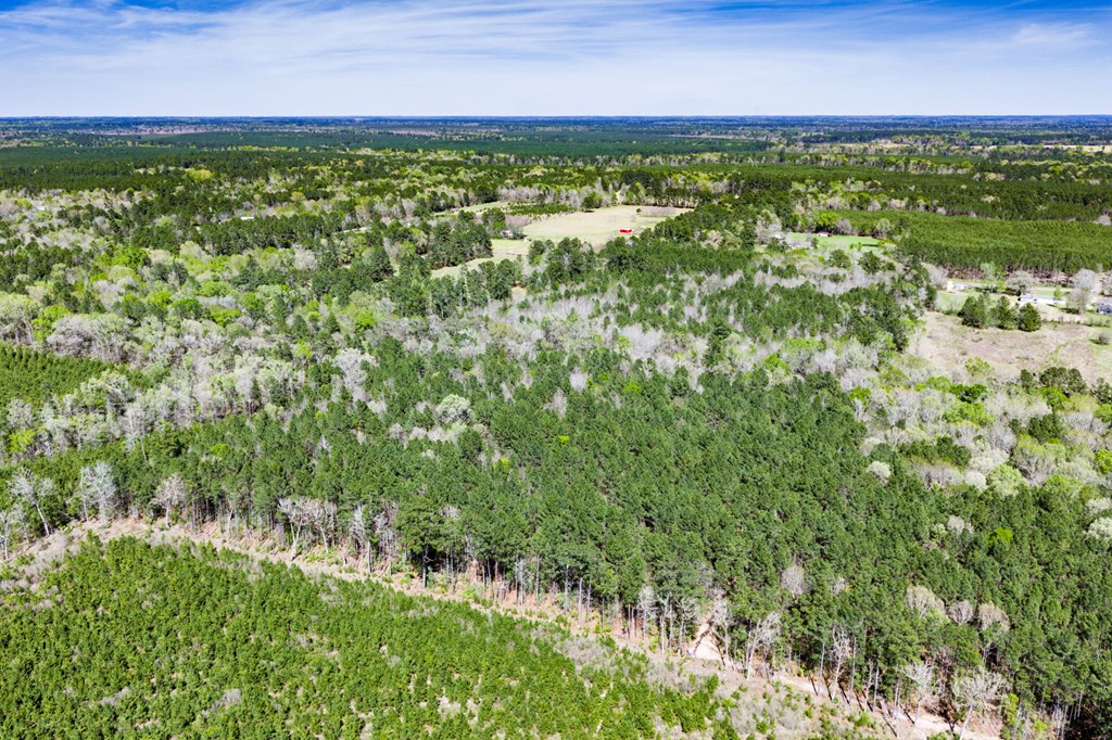 1888 Fm 1818 Property Photo 8