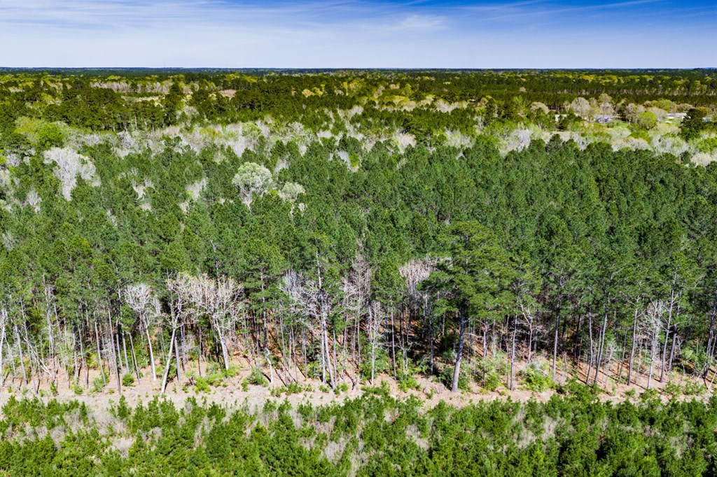 1888 Fm 1818 Property Photo 9