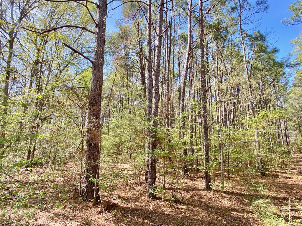 1888 Fm 1818 Property Photo 12