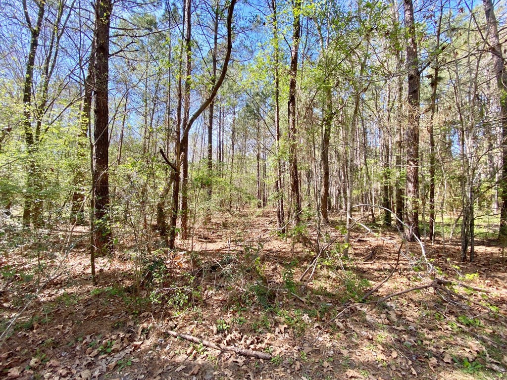 1888 Fm 1818 Property Photo 13