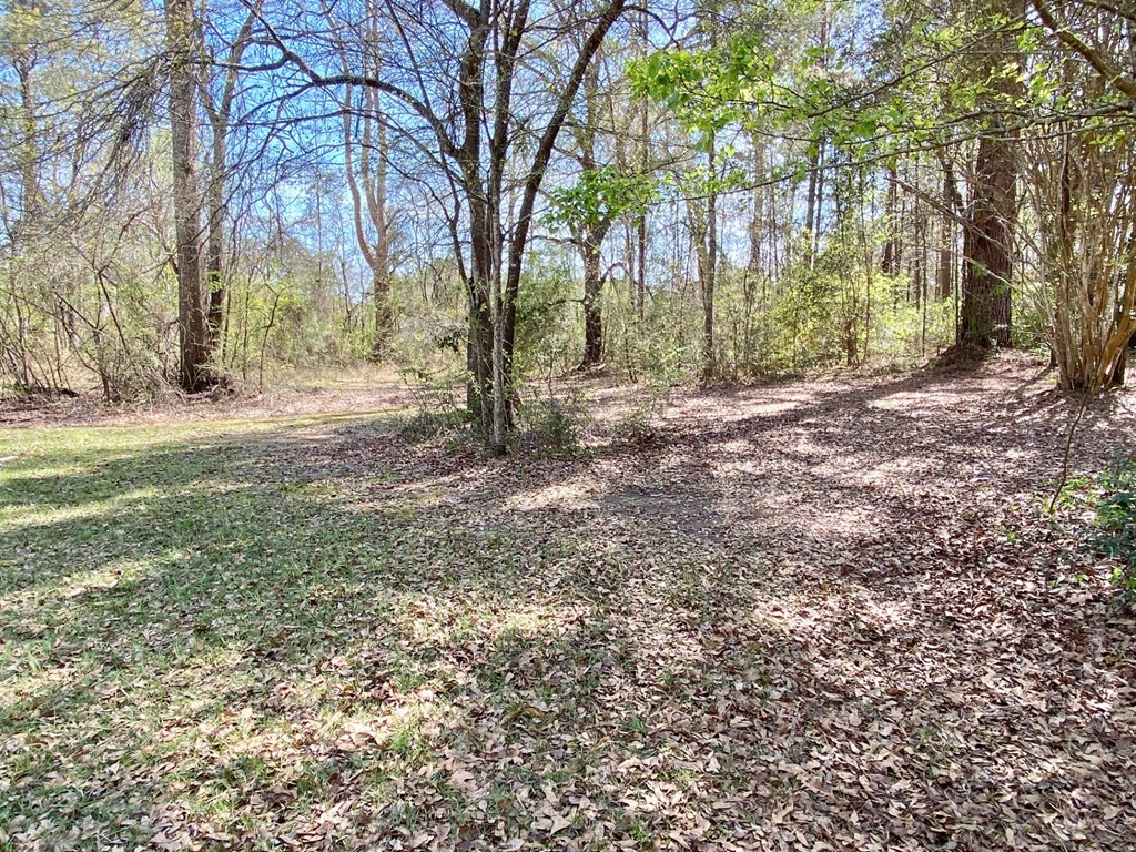 1888 Fm 1818 Property Photo 14