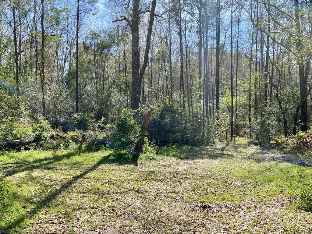 1888 Fm 1818 Property Photo 15