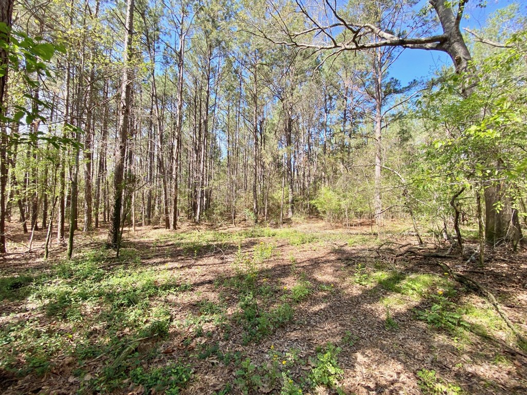 1888 Fm 1818 Property Photo 16