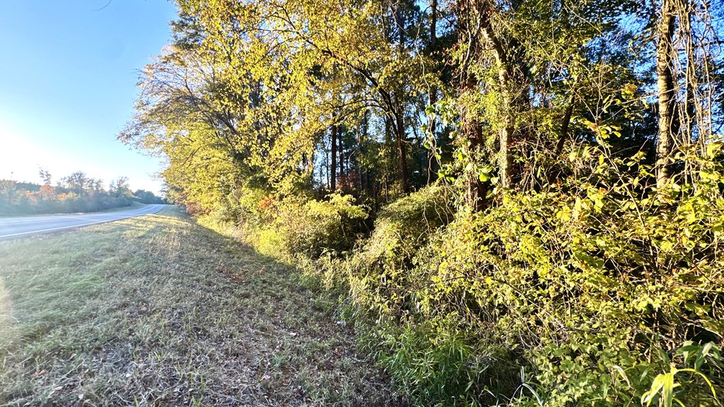 Tr 008 Hwy 21e Property Photo 5