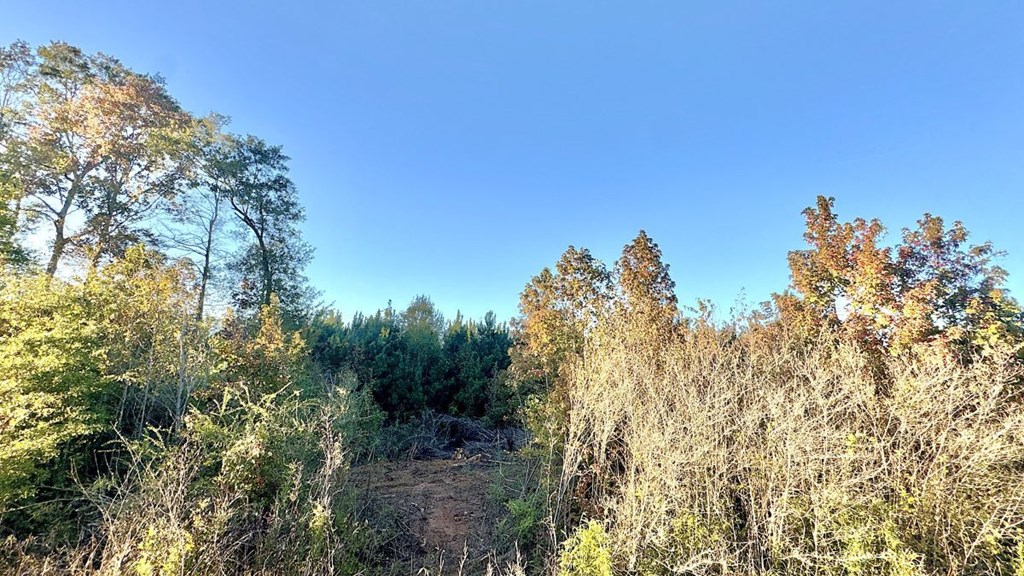 Tr 13 Hwy 21e Property Photo 2