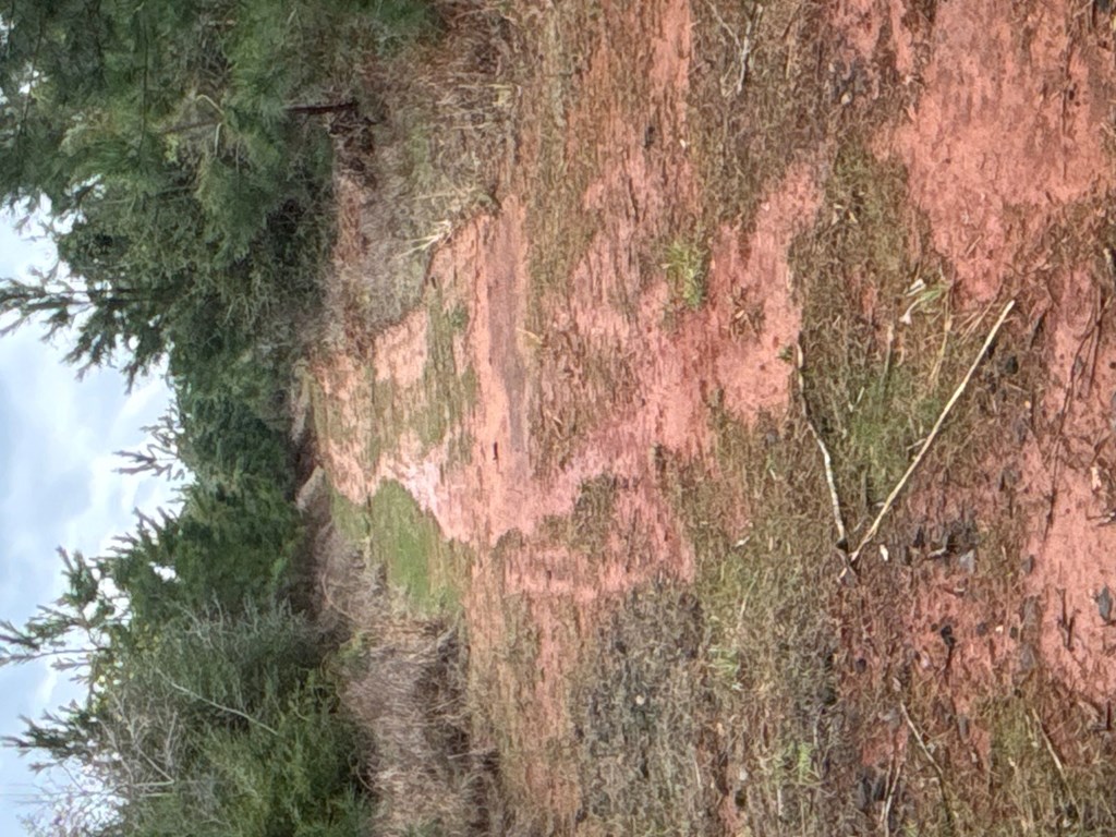 Tr 13 Hwy 21e Property Photo 3