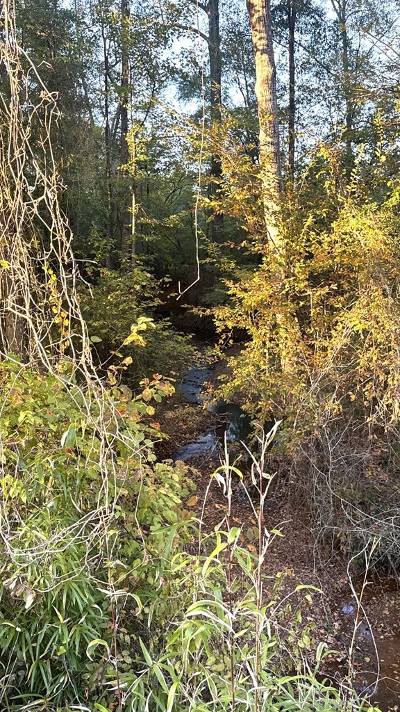 Tr 13 Hwy 21e Property Photo 5