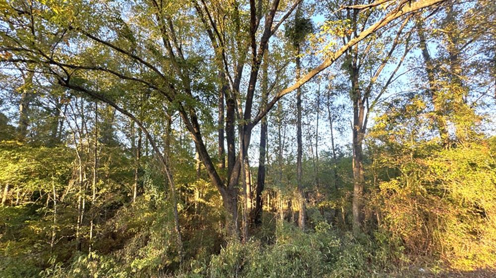TR 14 Hwy 21e Property Photo 1