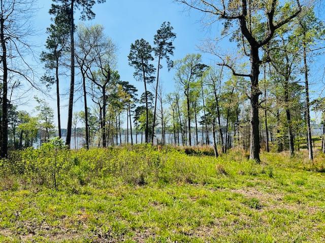 155 Crowell Lane Property Photo 1