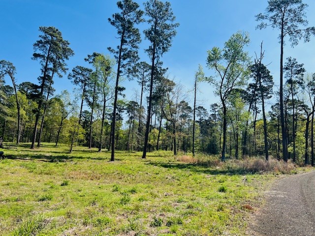 155 Crowell Lane Property Photo 3