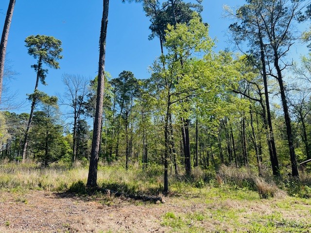 155 Crowell Lane Property Photo 4