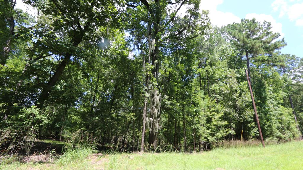 28411 County Road 374