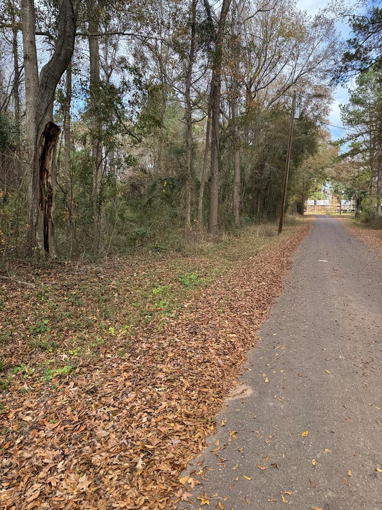185261 Pine Street Property Photo 2