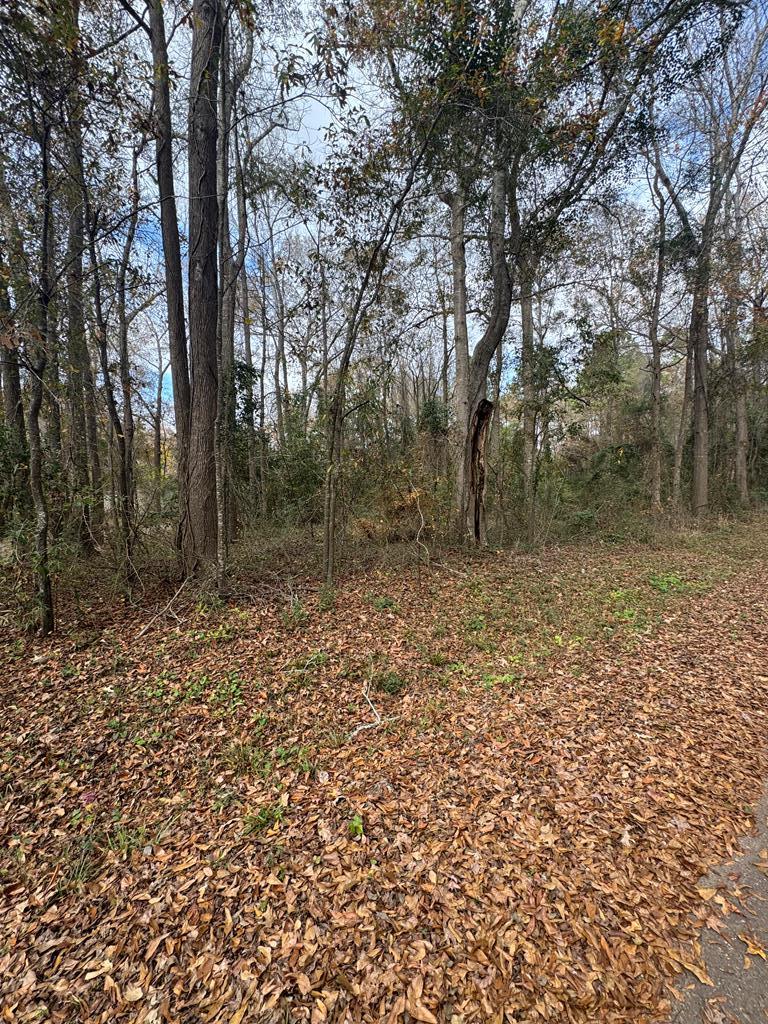 185261 Pine Street Property Photo 3