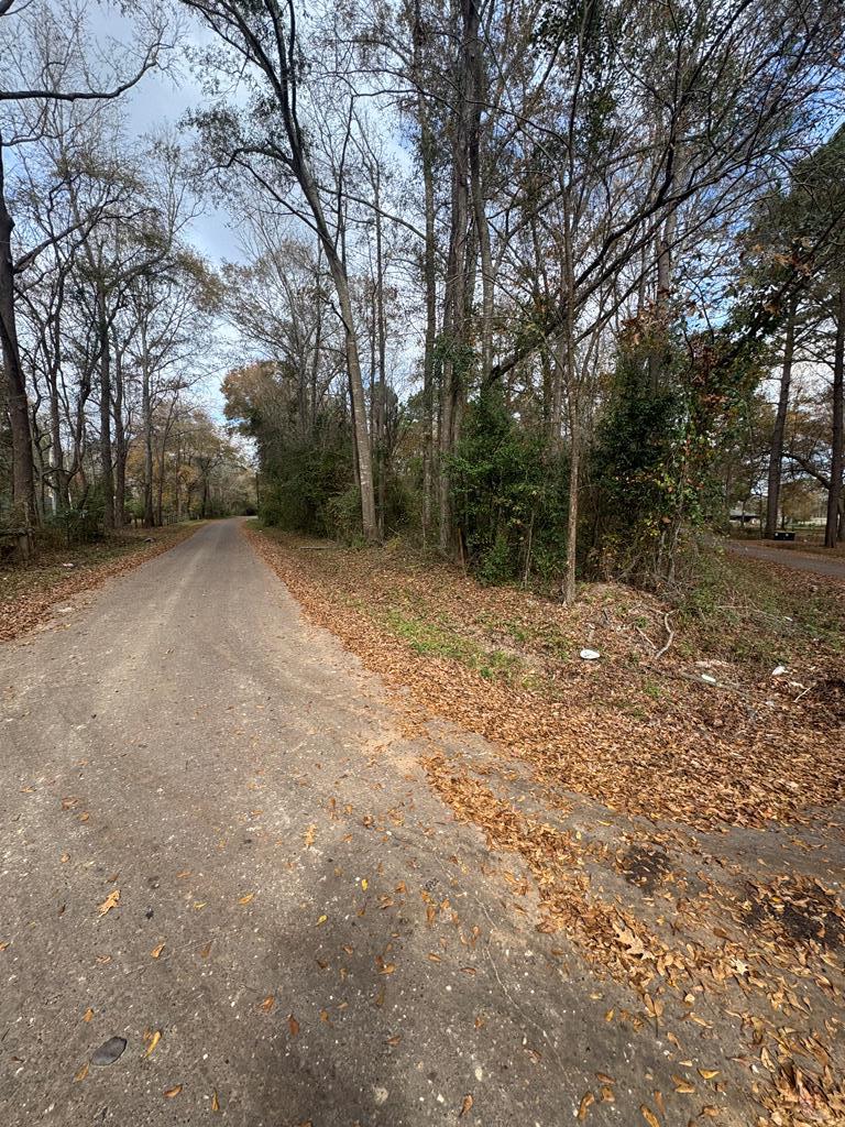 185261 Pine Street Property Photo 4